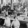 Christmas cracker making at Caley's Chapelfield factory